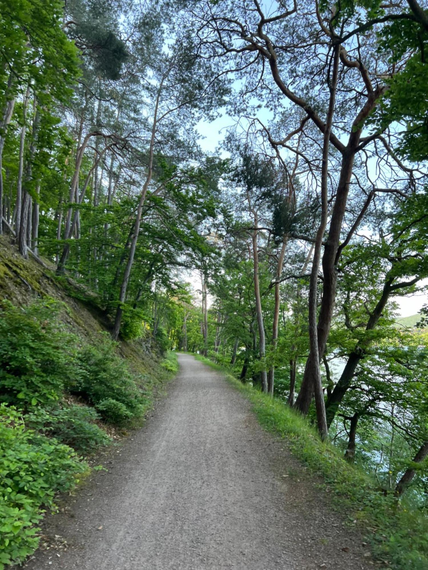 Bergschloesschen Edersee Waldeck  Ngoại thất bức ảnh